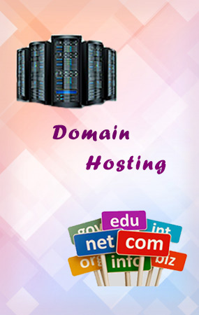 domain hosting urapakkam